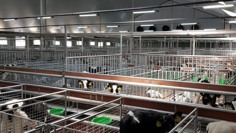 服装代运营定制方案：揭秘电商品牌增长之道