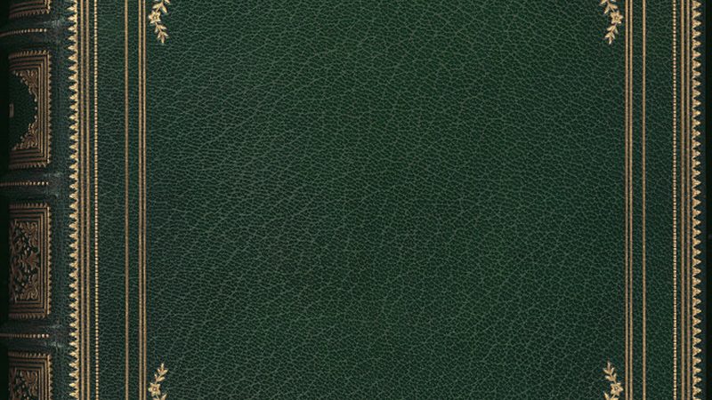 Shopify建站与自建站：差异分析及选型指南